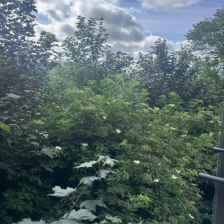 Riverside Homestay szállás Dublin