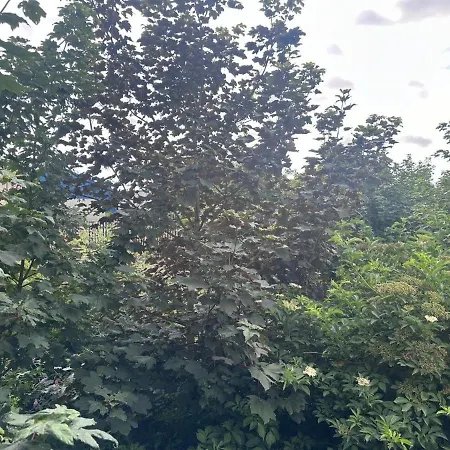 Riverside Homestay szállás