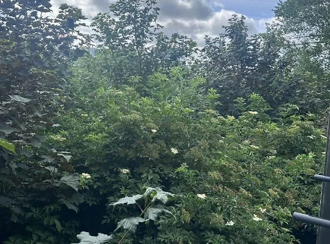 Riverside Homestay szállás Dublin