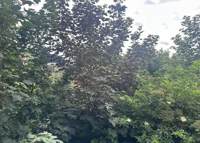 Riverside Homestay szállás